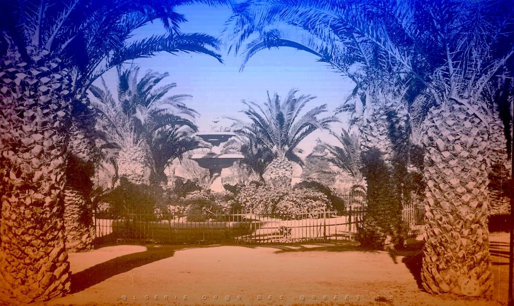 SAIDA 530  SQUARE CARNOT.jpg